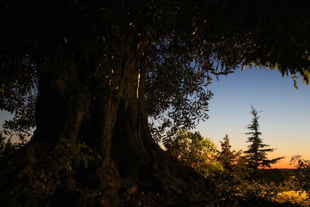 Hotel La Campagne de Petre Entrevennes Esterno foto